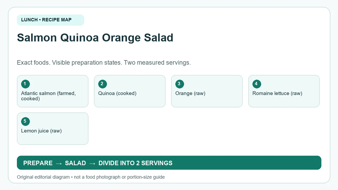 Original ingredient-and-method diagram for Salmon Quinoa Orange Salad; not a photograph or a portion guide